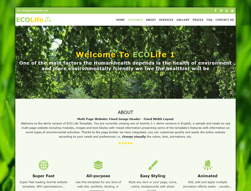 Website Design Template Fixed Layout